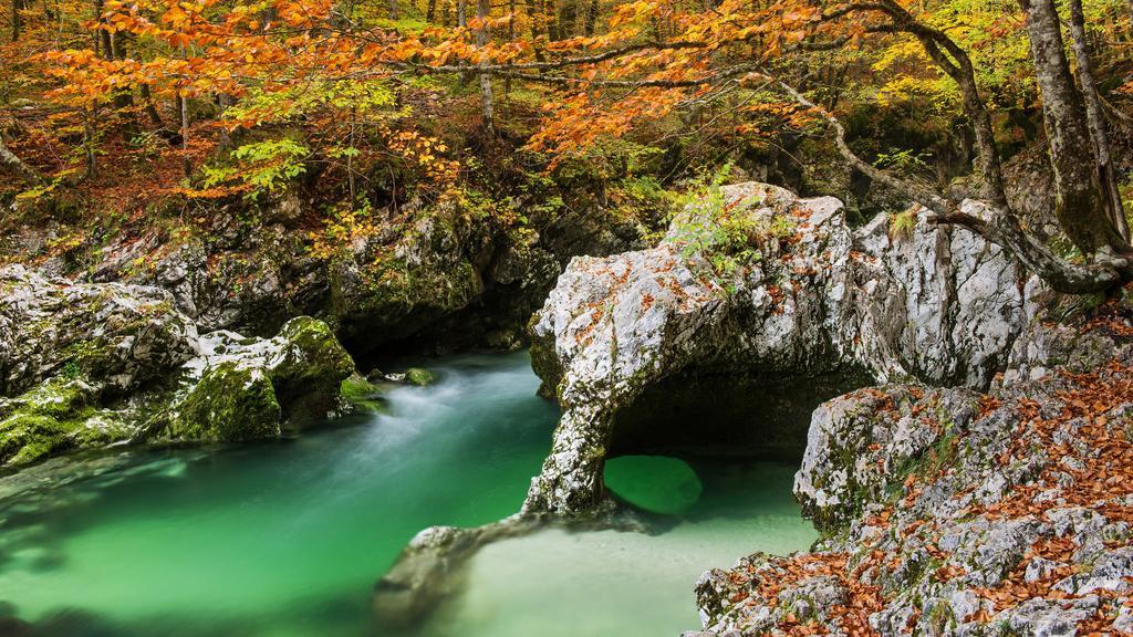 Apartments Bohinjskih 7 ภายนอก รูปภาพ